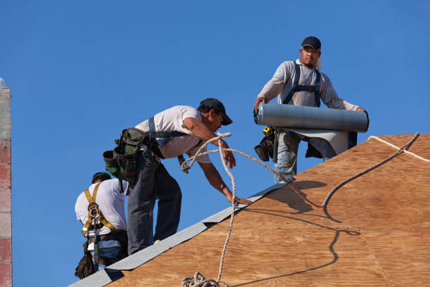 Roof Gutter Cleaning in Aurora, SD