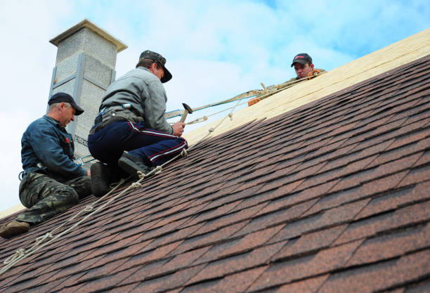 Best Metal Roofing Contractor  in Aurora, SD